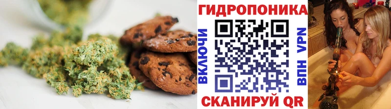 Canna-Cookies марихуана  MEGA зеркало  Карпинск 