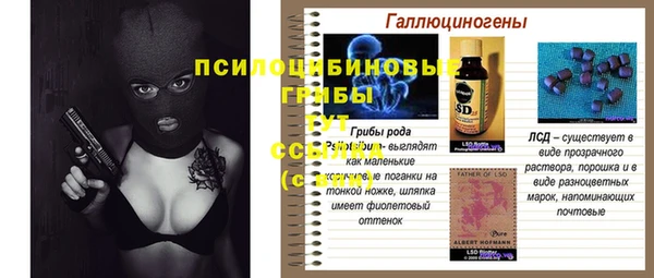 ешки Богородицк