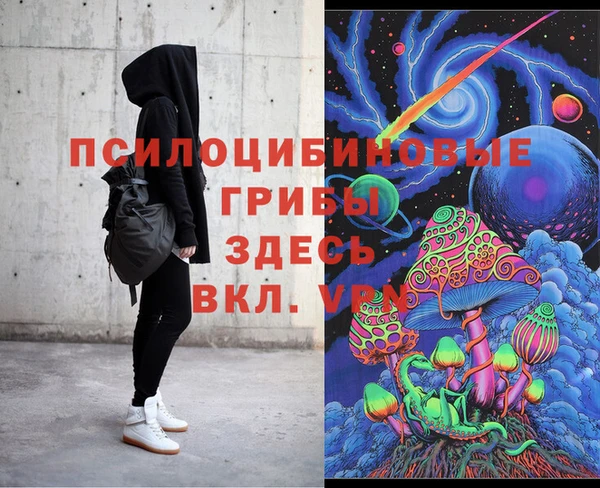 apvp Богданович