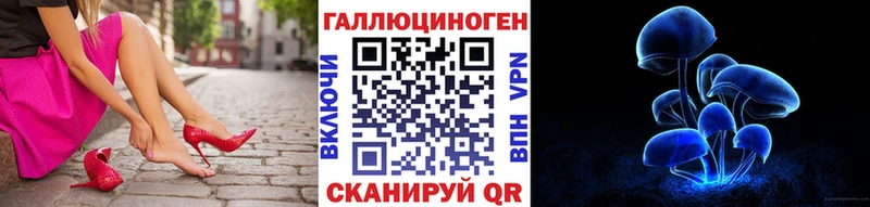 Псилоцибиновые грибы Psilocybe  купить наркоту  Карпинск 
